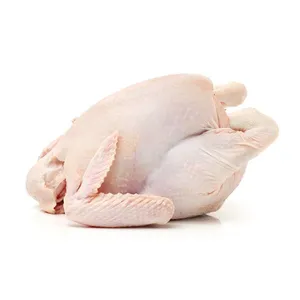 Premium Grade Halal Whole Chicken at Best Price thumbnail-1