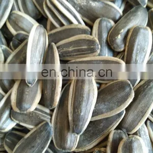 Wholesale Chinese Famous Brand Byloo Food Roasted Sunflower Seeds Sunflower Kernel Seeds Sunflower Melon Seeds thumbnail-3
