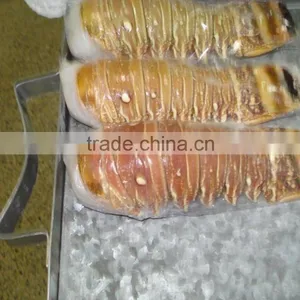 Frozen Lobster Tails thumbnail-6