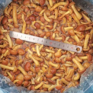 Nameko in Brine A Grade thumbnail-4