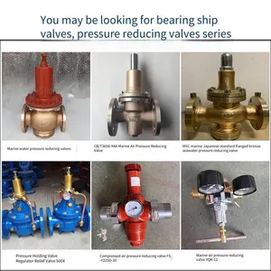 Chengzhi Cb/t3656-94 Marine Bronze Flanged Air Pressure Reducing Valve, Available With Repair Kit and Customizable thumbnail-5