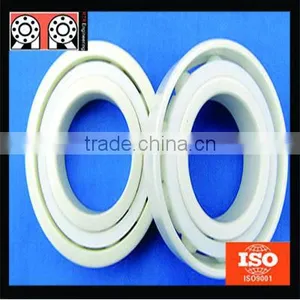Chinses High Temperature Insert Full Ceramic Bearing thumbnail-1