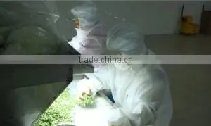 Xinghua Huarong Food Co., Ltd. company overview - view 2 thumbnail