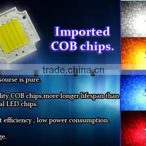 SMD Chip COB Chip for Auto Light Support OEM Service thumbnail-1