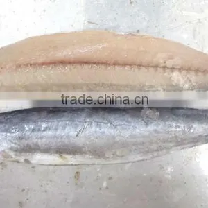 Spanish Mackerel New Filelts thumbnail-6