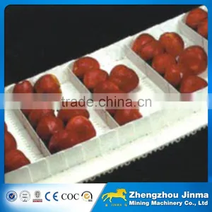 Stainless Steel Fruit Belt Conveyor Price thumbnail-5
