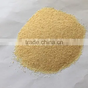 HACCP /ISO/FDA Approved High Quality Dehydrated Garlic Powder for USA/EU Market thumbnail-2