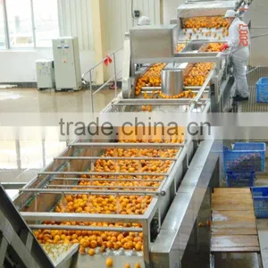 Turnkey Project Tangerine Juice Production Line thumbnail-3