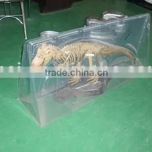 Transparence PVC Blister Packing Box thumbnail-1