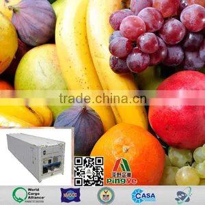 Reefer Loading From Zhanjiang Beihai Haikou China to Worldwide thumbnail-1