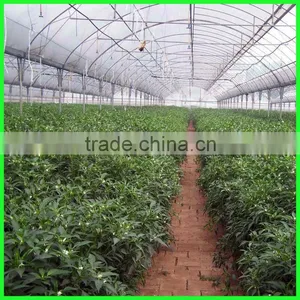 Suntex Virgin PE Anti-acid&alkail Cherry Trees Protective Impermeability Cloth thumbnail-5