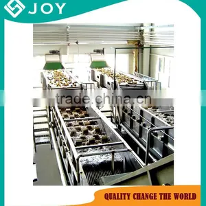 Auto-floating Washing Machine for Fruit and Vegetable thumbnail-1