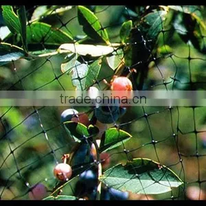 Stretched Plastic Fruit | Tree Protect Antibird Nets thumbnail-1