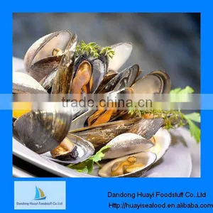 High Quality Mussel Frozen thumbnail-1