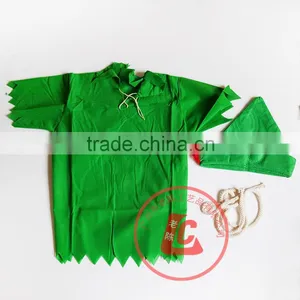 Wholesale Kids Birthday Party Supplies Dresses Cosplay Peter Pan Costume for Child thumbnail-2