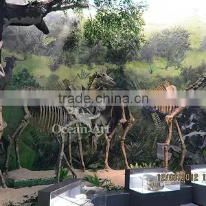 Animal Fossil for People Who Watch Fossil thumbnail-1