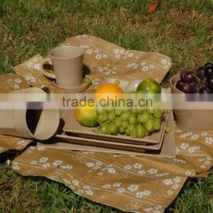 Biodegradable Organic Camping Dinnerware Set thumbnail-2