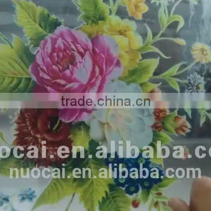 Guangzhou Nuocai Solvent Textile Inkjet Printer Ink,eco Solvent White Ink thumbnail-5