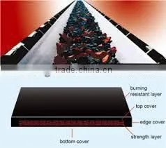 Heat Resistance Conveyor Belt of Coal Mine thumbnail-5