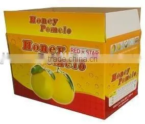 Regular Slotted Carton for Fruit thumbnail-1