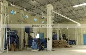 Bluebell Exim company overview - view 1 thumbnail