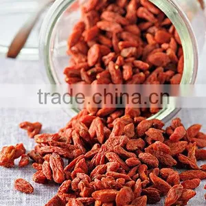Factory Sale Gojiberry thumbnail-5