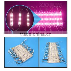 XQD Cheapest 3 Leds Chip Led Alphabets Moudle Alphabet Board Signal Moudle Light Smd 5730 5630 Chip Light Injection thumbnail-1