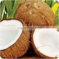 Fresh Mature Husked Coconut thumbnail-1