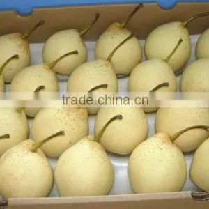 ya Pears 2015 for Sales thumbnail-2