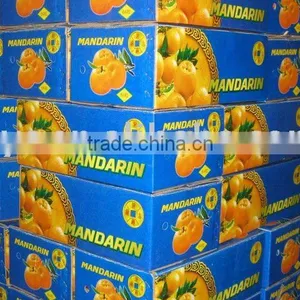 Fresh Orange thumbnail-1