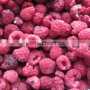 IQF Frozen Raspberry Grade A Whole thumbnail-3