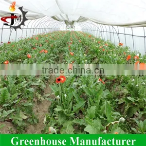 China Hot Sale Commercial Flower Greenhouse for Sale thumbnail-2
