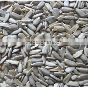 Surpplying Sunflower Kernels for Buyers thumbnail-1