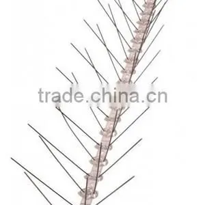 Garden Plastic Bird Spike thumbnail-1