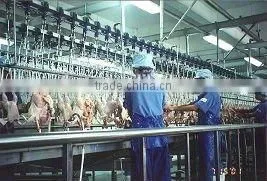 Stainless Steel Different Capacity Chicken Poultry Processing Plant Machinery thumbnail-1