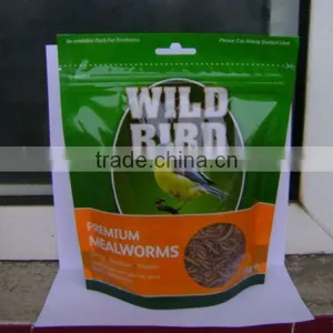 Mealworm thumbnail-1