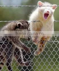 Barbed Wire Galvanized Steel thumbnail-3