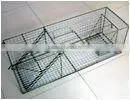 Live Mouse Trap thumbnail-1