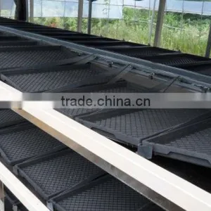 BK Conveyor Culture thumbnail-5