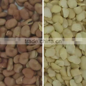 Excellent Quality CCD Bean Color Sorter thumbnail-2