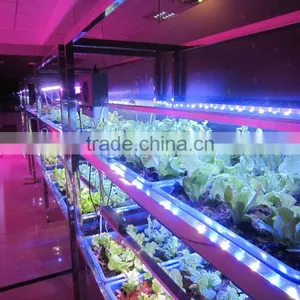 MarsHydro Greenhouse Led Grow Light , MarsHydro LED Lights Grow Bar Led Lighting,hydroponique for Reselling Worldwide Shipping thumbnail-3
