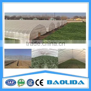 Commercial Hydroponic Systems for Vegetable Greenhouse thumbnail-1