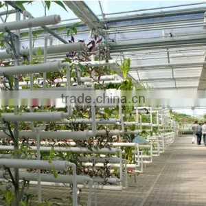 Agricultural Large Size/span Glass Greenhouses for Potatoes/tomatoes thumbnail-2