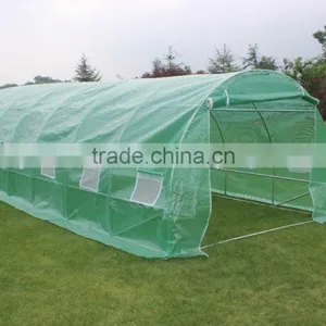 Professional Poly Tunnel Green House /agricultural Greenhouse8*3*2m thumbnail-1