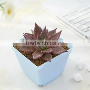 Plastic Flower Pot Rack -6 Grid thumbnail-6
