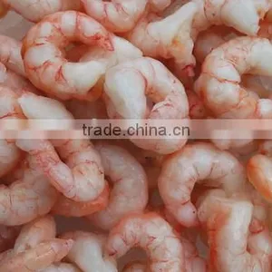 Red Shrimp Pud With Frozen thumbnail-2