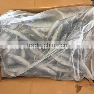 SEA FROZEN MACKEREL SIZE 6 FOR SALE MARKET thumbnail-2