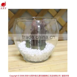 Artificial Succulents Wholesale Bonsai Potted Small Plant Table Artificial Preserved Plant thumbnail-1