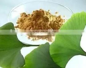 GMP Factory Ginkgo Biloba Extract 24/6 Yajiaotong Flavone 24% Lactones 6% Ginkgobiloba Capsule Ginkgo Biloba Tablet thumbnail-4