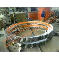 Slewing Ring thumbnail-1